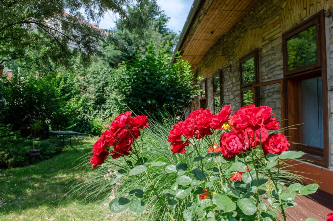 Апартаменты Kohaz Apartman Веспрем Экстерьер фото